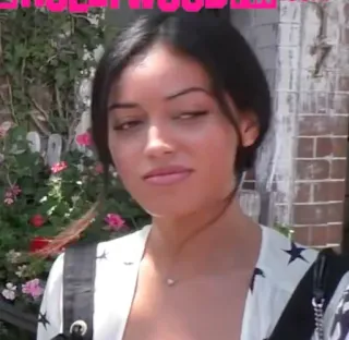 🌮 1055d8fb telegram sticker