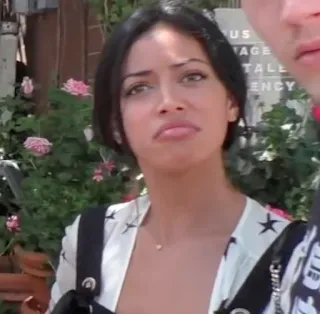 🌮 a6a348ca telegram sticker