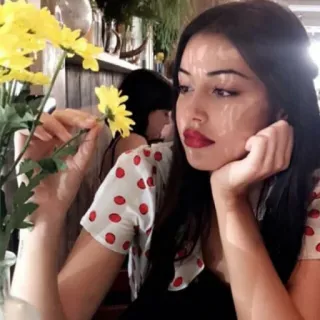 🍥 def8562c ผู้หญิง, ดอกไม้, ภาพเหมือน, ในร่ม, คน, โต๊ะ telegram sticker