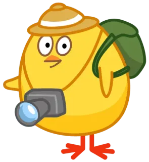 🍕 c6bf542c pássaro, animal, desenho animado, aventura, fotógrafo, câmera, explorador, pintinho whatsapp sticker