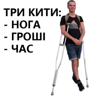 💵 95d1a2a8 ТРИ КИТИ:
- НОГА
- ГРОШІ
- ЧАС telegram sticker