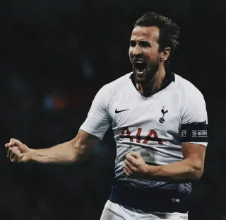 😎 81d34c58 Harry Kane bóng đá, bóng đá, Tottenham Hotspur, vận động viên, thể thao, ăn mừng telegram sticker