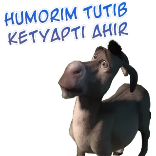 😂 1a685452 Donkey Shrek HUMORIM TUTIB KETYAPTI DIIR ลา, ตลกขบขัน, การ์ตูน telegram sticker
