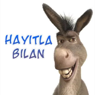 🎉 e1f996ff Donkey Shrek HAYITLA BILAN ลา, เชร็ค, การ์ตูน, ตลก, ภาพเคลื่อนไหว telegram sticker