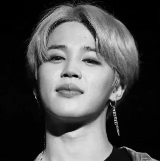 ⌚️ a577dcad Jimin kpop, piosenkarz, jimin, bts, portret telegram sticker