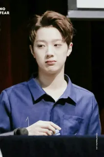 🕊 da501b5b NO FEAR chico, coreano, expresión, joven, persona, casual whatsapp sticker