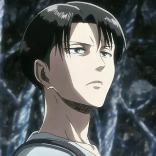 🖤 d1c5ed14 Levi Ackerman Attack on Titan Anime, Karakter, Manga, Levi Ackerman, Attack on Titan, Kapten Levi telegram sticker