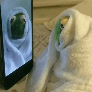 💚 a67a7159 Kermit Kermit the Frog, Muppets, meme, frog, towel, funny, internet meme, phone telegram sticker