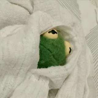 💚 a7c74fc3 Kermit the Frog Kermit, frog, puppet, cozy, blanket, green, Muppets telegram sticker