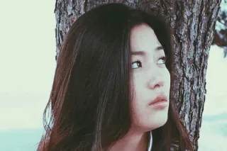 🍸 525bcf44 telegram sticker