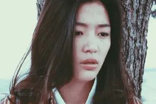 🍸 c655edd1 telegram sticker