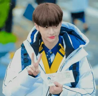 🙈 17e61511 pessoa, símbolo da paz, passaporte, homem, coreano, jaqueta, viagem telegram sticker