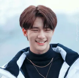 🤣 339d4661 kpop, idol, asiático, cantor, sorrindo, pessoa, masculino telegram sticker