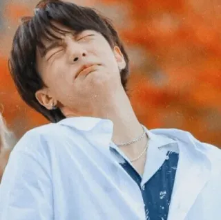 😖 e3116a69 telegram sticker