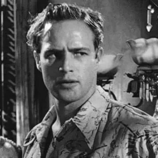 〰 1c99b7e2 Marlon Brando 演员, 电影, 黑白, 肖像, 名人 telegram sticker