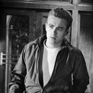 🌛 2161b170 James Dean ジェームズ・ディーン, 俳優, 映画スター, 白黒, ポートレート, 有名人 telegram sticker