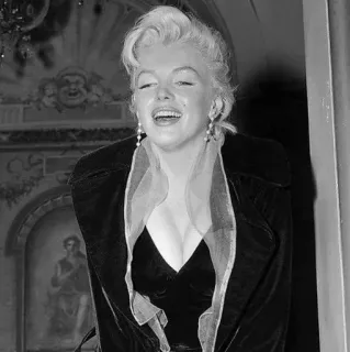 🥀 2fe11e0c Marilyn Monroe マリリン・モンロー, 女優, 白黒, オールドハリウッド telegram sticker