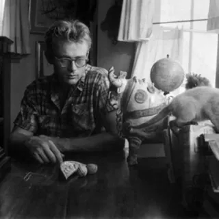 🌛 cd38ae84 James Dean ジェームズ・ディーン, 俳優, 猫, ヴィンテージ, 白黒, ポートレート telegram sticker