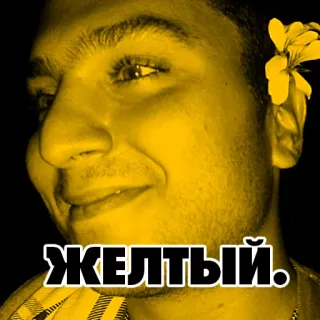🍋 66a432b8 ЖЕЛТЫЙ. yellow, russian, portrait, man, flower, color telegram sticker