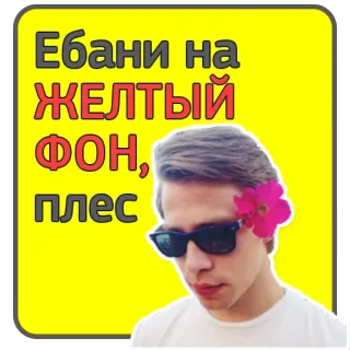 👆 b156249c Ебани на желтый фон, плес ステッカー, サングラス, ポートレート, 黄色の背景, 花, ロシア語 telegram sticker