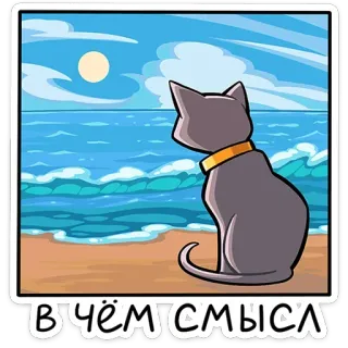 🌊 1064fc0c В чём смысл cat, beach, ocean, sun, contemplation, question, meaning, Russian telegram sticker