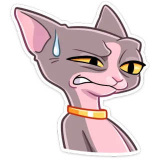 😅 97effb84 chat, chat sphynx, expression, sueur, animal, autocollant telegram sticker