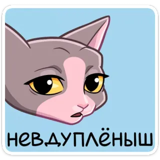 ☹ 4bbe1382 НЕВДУПЛЁНЫШ แมว, สติกเกอร์, รัสเซีย, สัตว์, สีหน้า telegram sticker