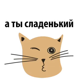 😍 06d3a464 ать сладен kot, zwierzę, mrugający, uroczy, zwierzak telegram sticker