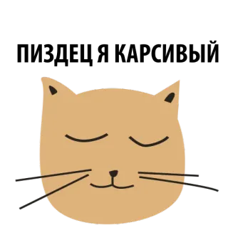 🐱 0c413478 kot, kociak, zwierzę, słodki, zwierzak, zwierzę domowe telegram sticker