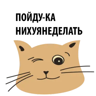 😇 113231d7 kot, zwierzę, naklejka, słodki, mrugający telegram sticker