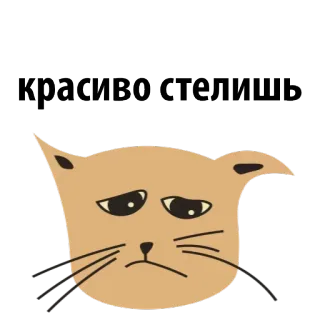 😒 141da199 красиво стелишь kot, słodki, mem, rosyjski, naklejka, smutny telegram sticker