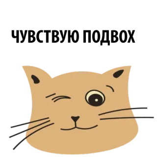 ✨ 2c6e2d54 kot, zwierzę, słodki, mrugnięcie, zwierzę domowe telegram sticker