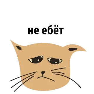 😠 3bbbdd28 Не ебёт kot, mem, rosyjski, naklejka telegram sticker