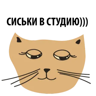 😍 3f457041 kot, zwierzę, naklejka, słodki, koci, zwierzak telegram sticker