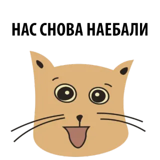 😟 42ea6e55 НАС СНОВА НАЕБАЛИ kot, rosyjski, fraza, naklejka telegram sticker