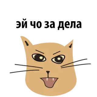😟 44423008 эй чо за дела kot, naklejka, zwierzę, kreskówka telegram sticker