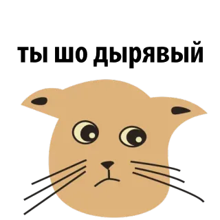 😑 7fe8b9e9 ТЫ ЧО ДЫРЯВЫЙ kot, mem, obraza, tekst, śmieszne, wyrażenie telegram sticker