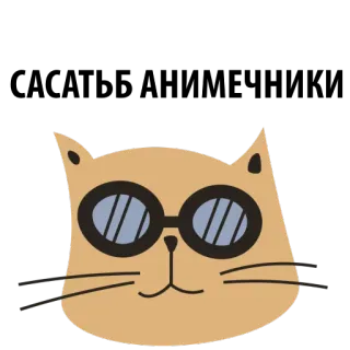Feline @stickersb2b telegram stickers