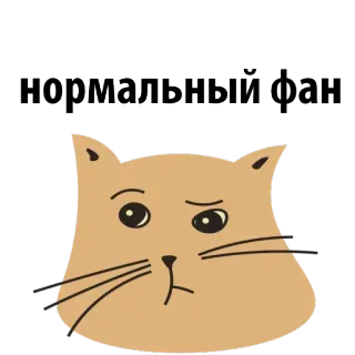 😄 90301639 Нормальный kot, mem, rosyjski, normalny telegram sticker