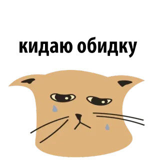 😓 912b636c кидаю обидку kot, smutny, słodki, płacz, naklejka telegram sticker