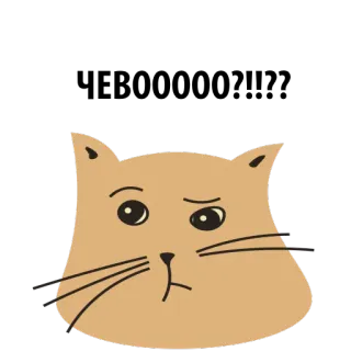 😒 93160a2b kot, zwierzę, kreskówka, słodki, naklejka, zwierzak, koci telegram sticker