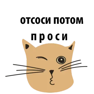 😜 9cd110cc ОТСОСИ ПОТОМ ПРОСИ kot, tekst, naklejka, rosyjski, obraźliwe, niegrzeczne, wulgarne telegram sticker