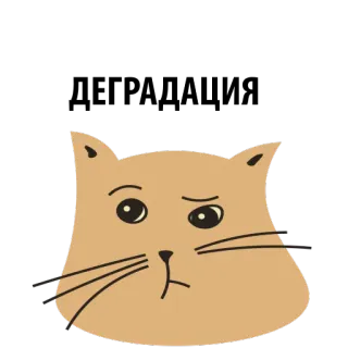 ☹️ dff1fd05 kot, zwierzę domowe, zwierzę, smutny, zdenerwowany, koci, kociak, słodki telegram sticker