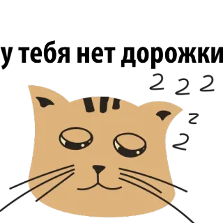 😠 e649d91d тебя нет дорожк kot, smutny, zwierzę, rosyjski, naklejka telegram sticker