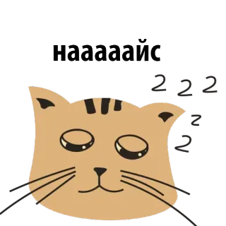 😛 fb91707c Haaaaa! kot, zwierzę, śpiący, słodki, naklejka telegram sticker