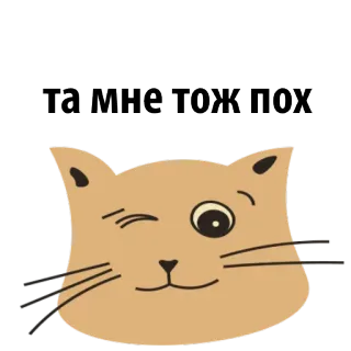😛 fe79758a Та мне тож пох kot, mruganie, rosyjski, obojętność, naklejka telegram sticker
