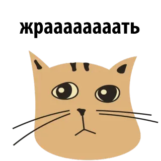 🍕 fea55a60 жрааааааать kot, słodki, zwierzę, kreskówka telegram sticker