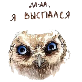 🐣 0b5c72d1 ДА-ДА,
Я ВЫСПАЛСЯ búho, pájaro, soñoliento, cansado, dibujos animados, animal telegram sticker