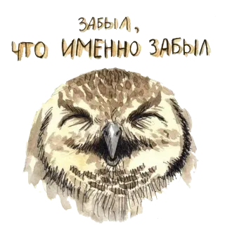 🐣 5fdf85ab ЗАБЫЛ, ЧТО ИМЕННО ЗАБЫЛ búho, pájaro, olvidado, olvidar, dibujos animados, animal telegram sticker