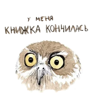 🐣 ea51cee6 У МЕНЯ КНИЖКА КОНЧИЛАСЬ búho, animal, pájaro, dibujos animados, gracioso, libro telegram sticker